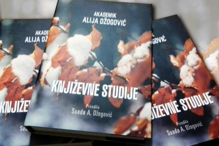 Knjizevne studije, priredila Suada A. Dzogovic